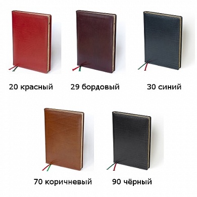 Ежедневкник BRUNNEN агенда недат.обл. натуральная кожа